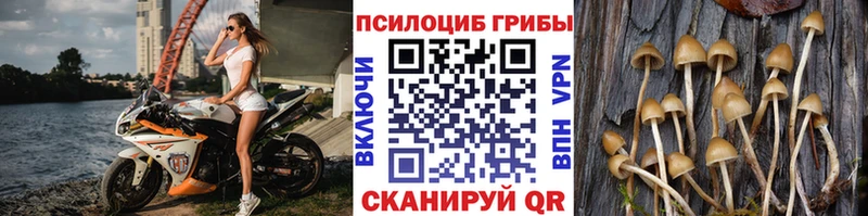 hydra зеркало  Йошкар-Ола  Галлюциногенные грибы прущие грибы 